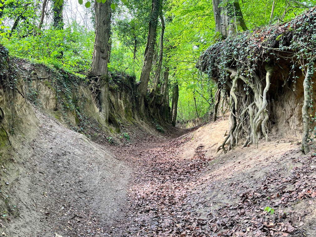 22-04-25 11-21-39 0617